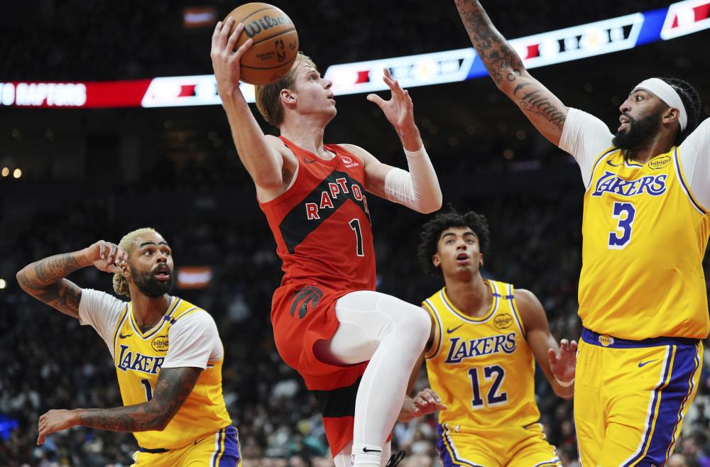 本赛季只要 本赛季只要